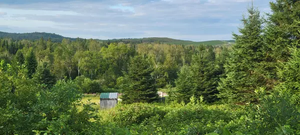 Saint Agatha, ME 04772,Map 2 Lot 21-A