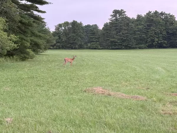 Windsor, ME 04363,M8, Lot 14 South Belfast RD