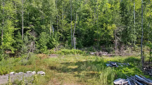 Etna, ME 04434,Lot 3 Shadow LN