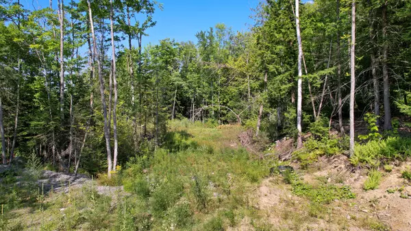 Etna, ME 04434,Lot 3 Shadow LN