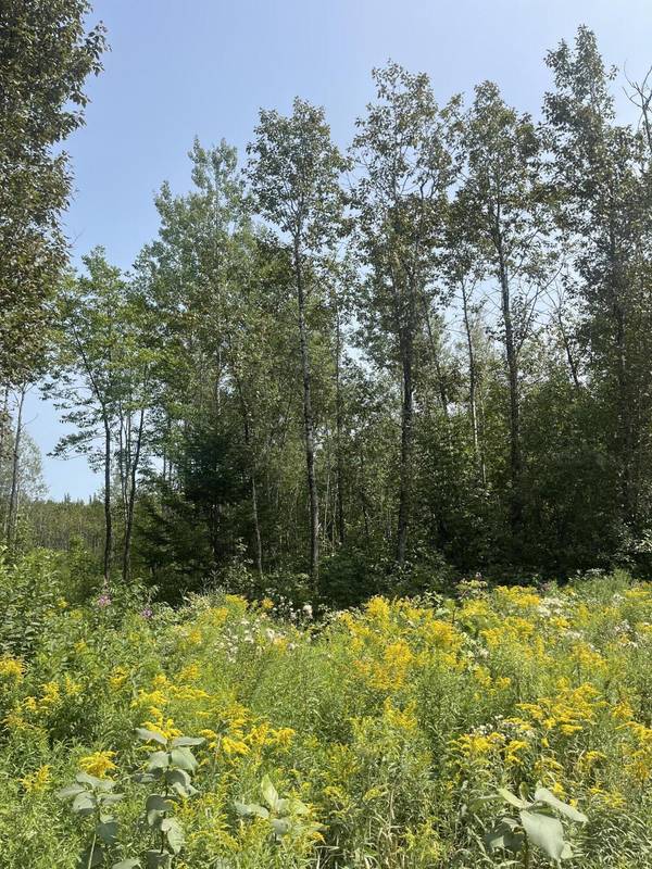 Map3Lot12C Fowler Road Crossroad, Woodland, ME 04736
