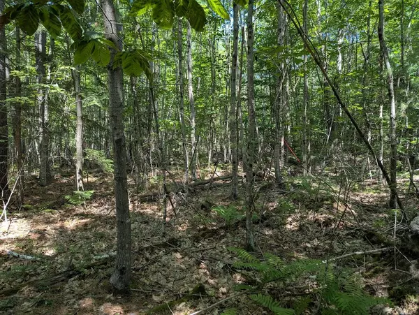 Scarborough, ME 04074,0 Beech Ridge RD