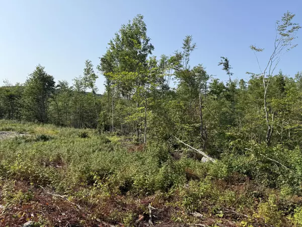 Springfield, ME 04487,TBD Oak Mt Lot 5 RD