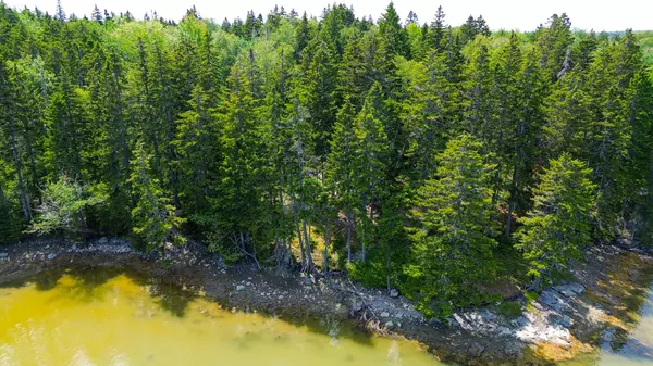 Steuben, ME 04680,49 Missy WAY