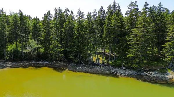 Steuben, ME 04680,49 Missy WAY