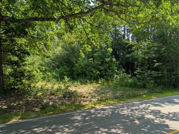 Stow, ME 04037,M05 Lot29 Stow RD