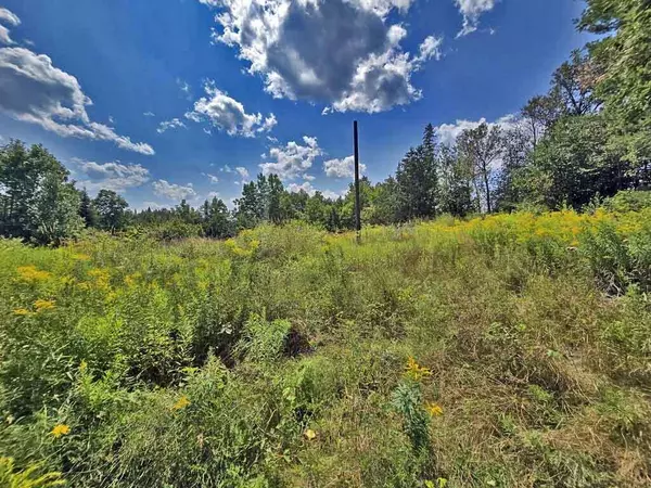 New Limerick, ME 04761,1020 County RD