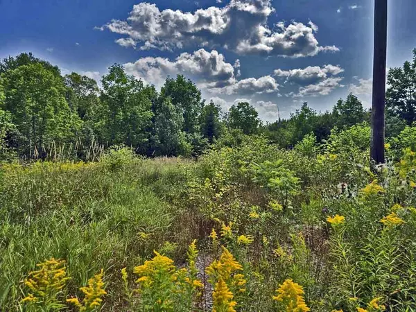 New Limerick, ME 04761,1020 County RD