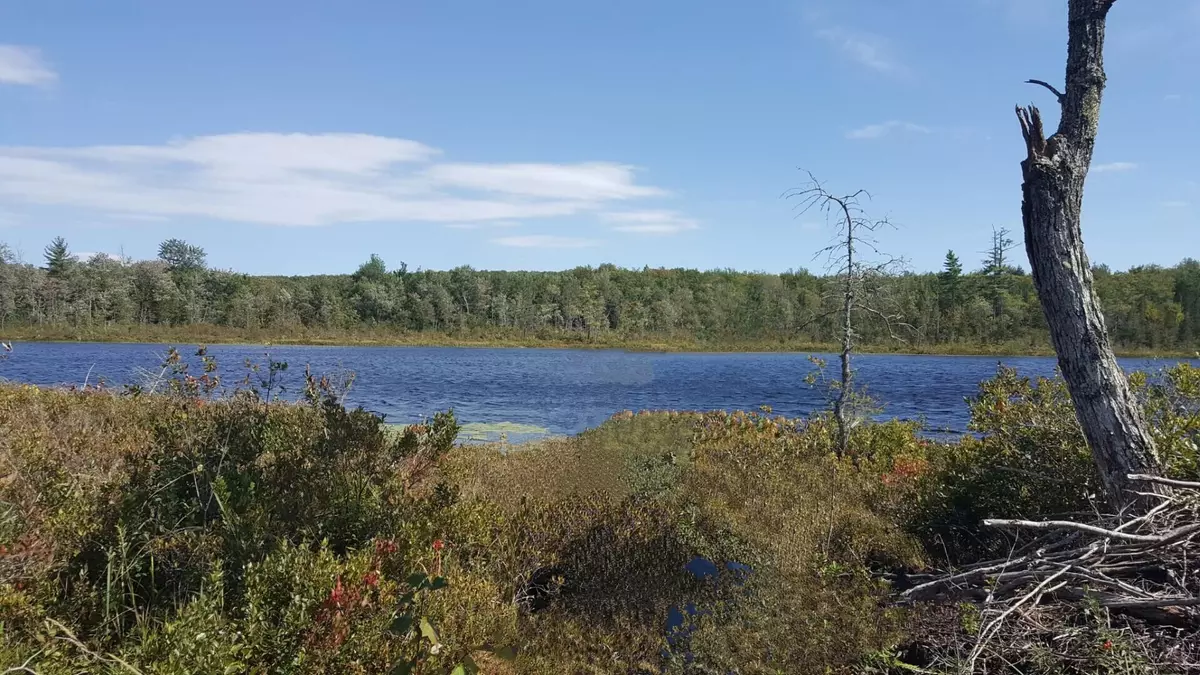 Jay, ME 04239,M4 96 & 99 Parker Pond RD