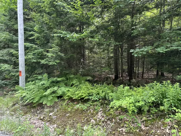 TBD Dingley RD, Bowdoinham, ME 04008