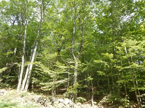 Parsonsfield, ME 04047,Lot 6 Maplecrest RD