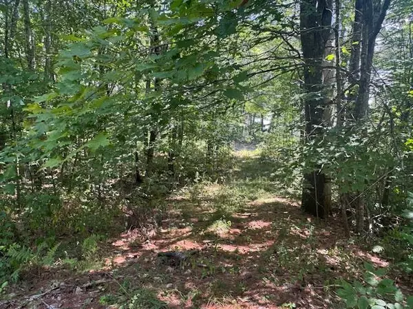 Whitefield, ME 04353,480 Vigue RD