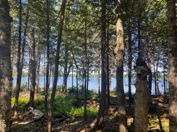 Sandbar Tract Twp, ME 04478,Lot S6 S Watson Island RD