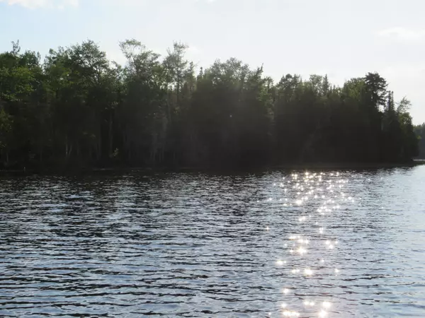 Sandbar Tract Twp, ME 04478,Lot S6 S Watson Island RD