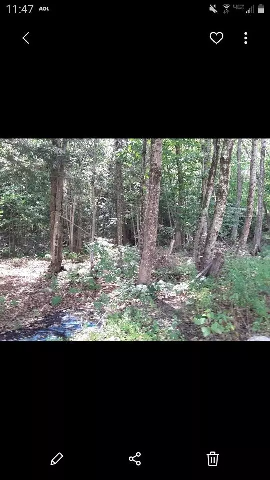 Bridgton, ME 04009,00 Middle Ridge RD