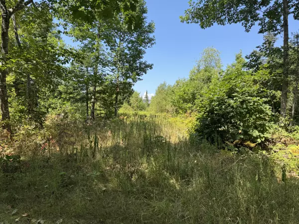 Sangerville, ME 04479,00 Jackman Corner RD