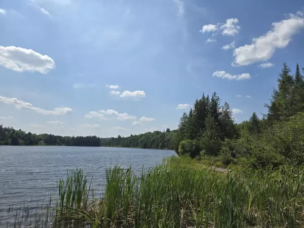 Linneus, ME 04730,M 4 L 8-20 South Oakfield RD