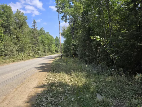 Linneus, ME 04730,M 4 L 8-20 South Oakfield RD