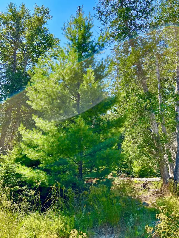 Mount Desert, ME 04660,094-001-00 Driftwood WAY