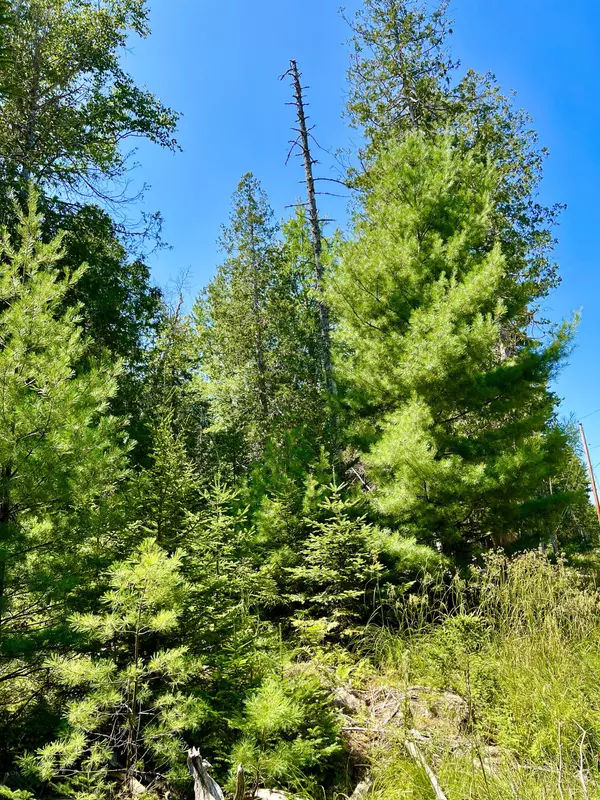 Mount Desert, ME 04660,094-001-00 Driftwood WAY