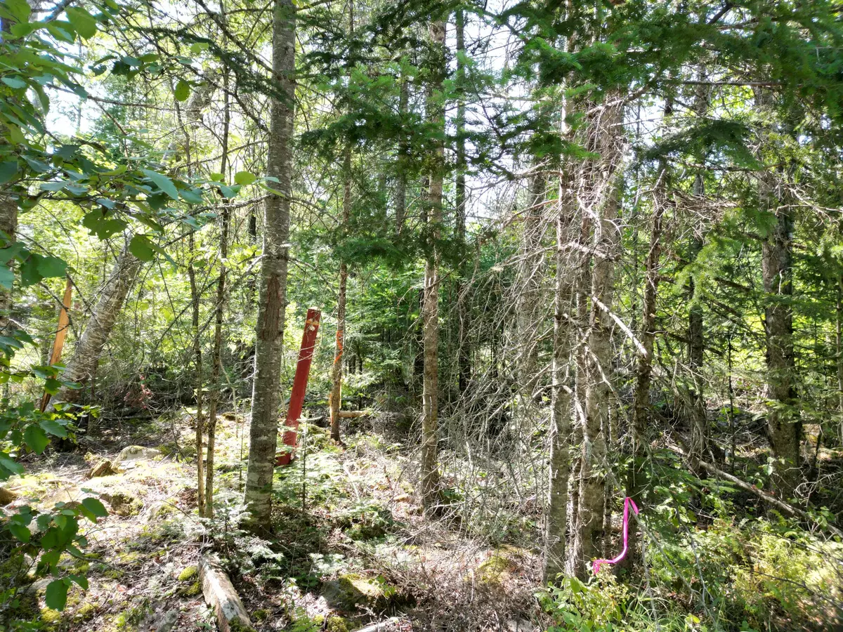 Lowell, ME 04493,Lot 6 Fogg Brook RD