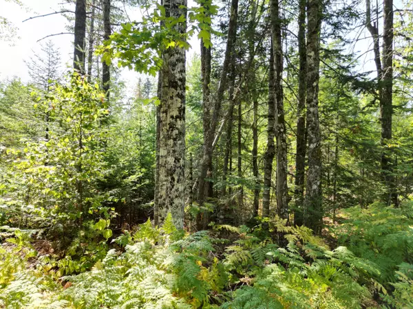 Lowell, ME 04493,Lot 4 Fogg Brook RD