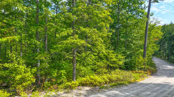 Waterford, ME 04088,Lot 2 Northview DR