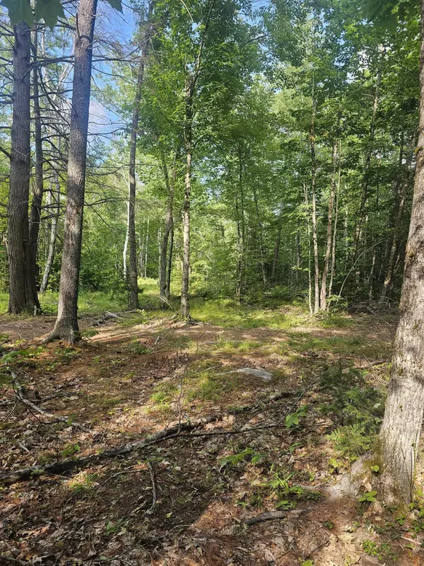 Palmyra, ME 04965,15-23 Estes AVE