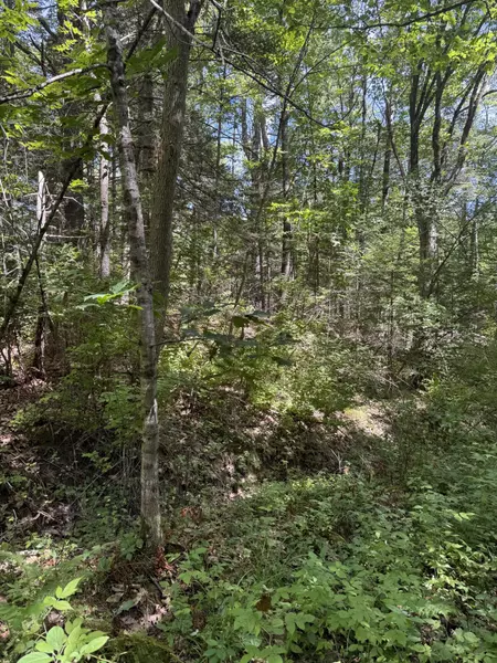 Lot 59 Carding Machine RD, Bowdoinham, ME 04008