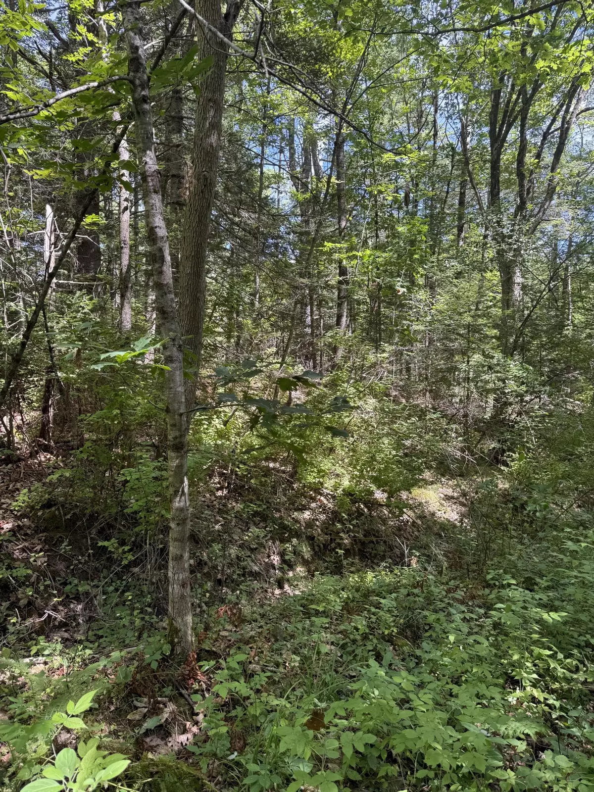 Bowdoinham, ME 04008,Lot 59 Carding Machine RD