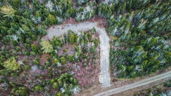 Whiting, ME 04691,Lot 2-13 Yellow Birch RD