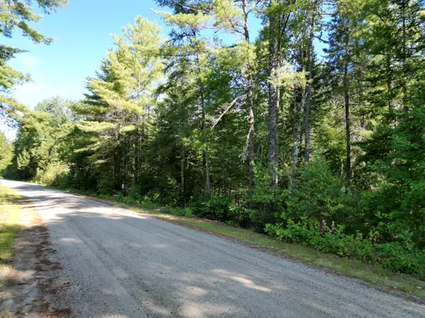 Lot 38.2 Lord Brook RD, Grand Falls Twp, ME 04418