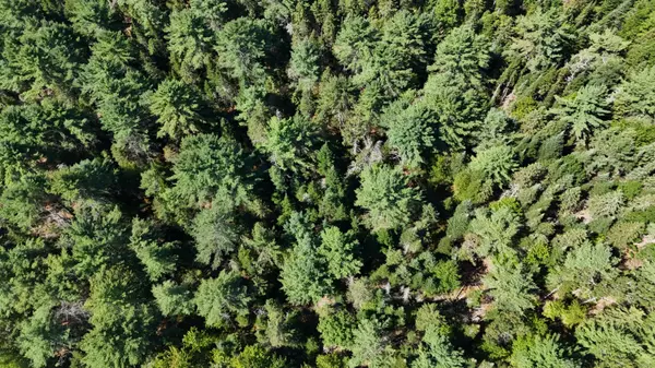 Dixmont, ME 04932,00 Cottrell RD