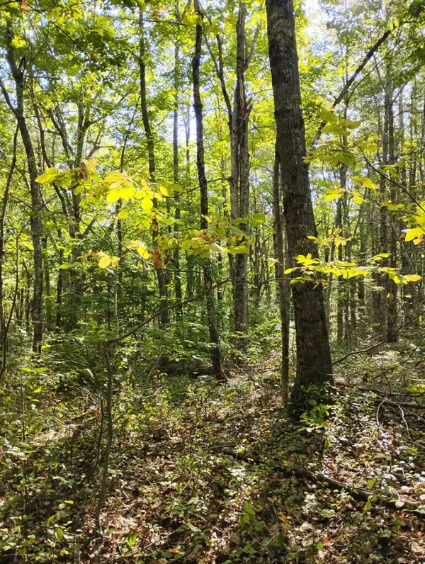 Belmont, ME 04952,282 Augusta RD