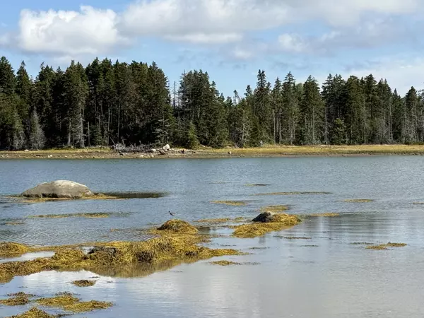 Steuben, ME 04680,103 Missy WAY