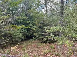 Woodstock, ME 04219,007-044-01 Rumford AVE