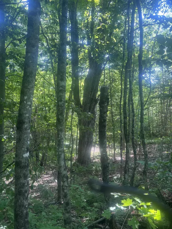 Harmony, ME 04942,M5-L31,32 Gray