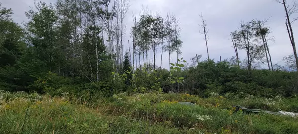 Grand Isle, ME 04746,115 Cyr RD