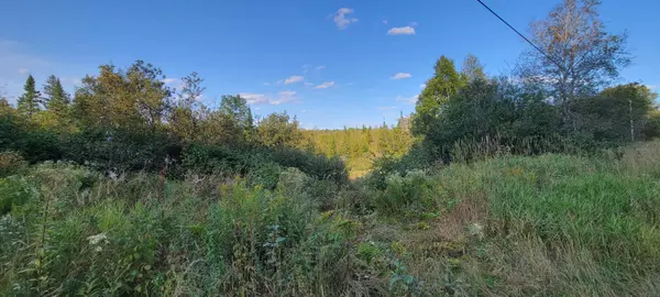 Grand Isle, ME 04746,352 Grivois RD