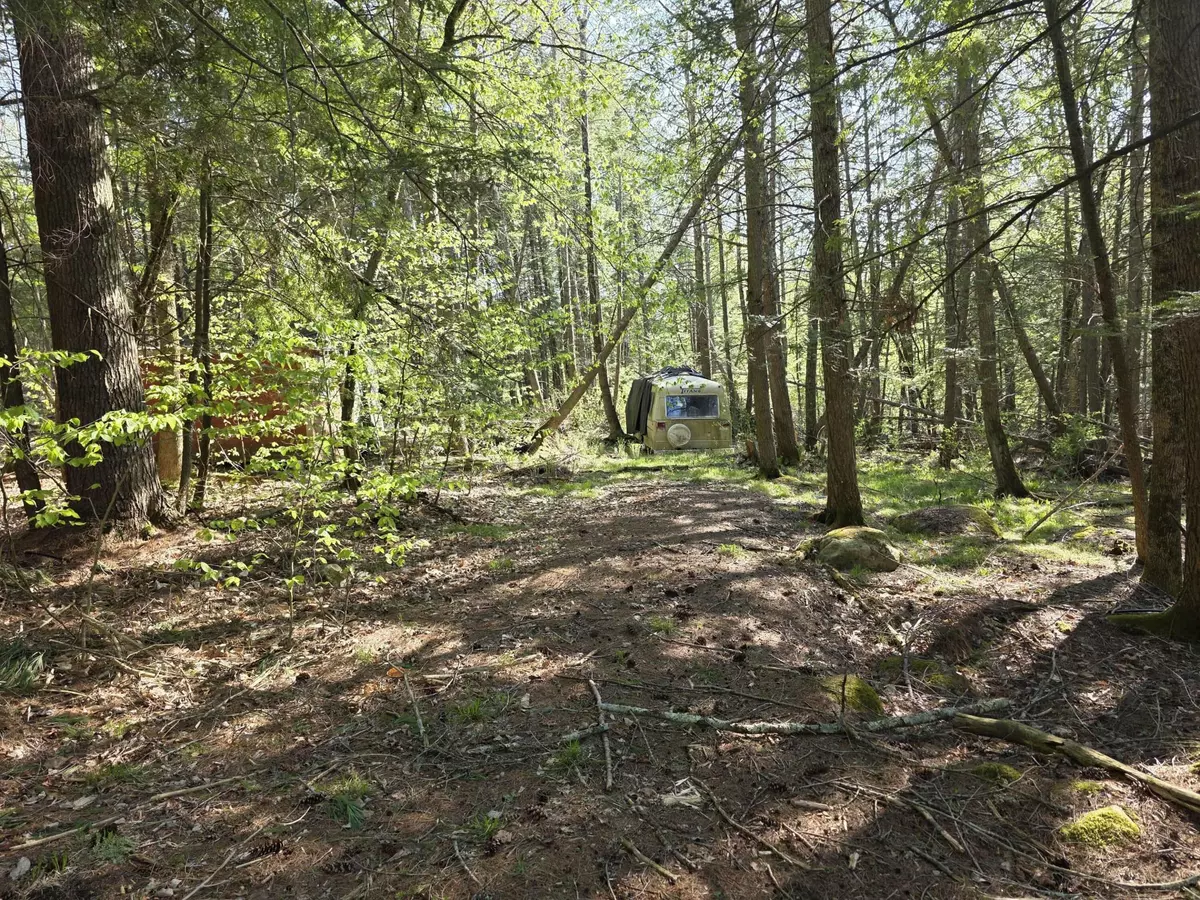 Saint Albans, ME 04971,40 Orchard DR