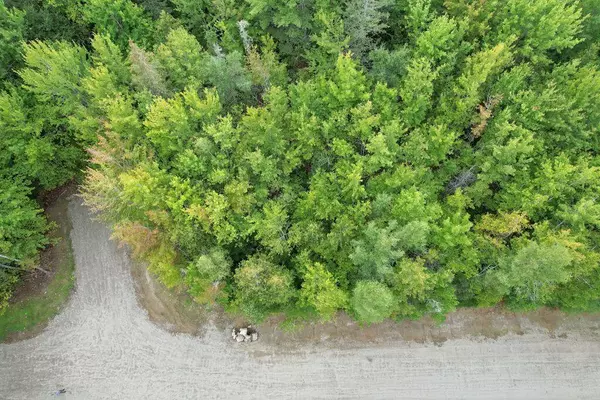 Ellsworth, ME 04605,Lot001-006 Foggy Ridge WAY