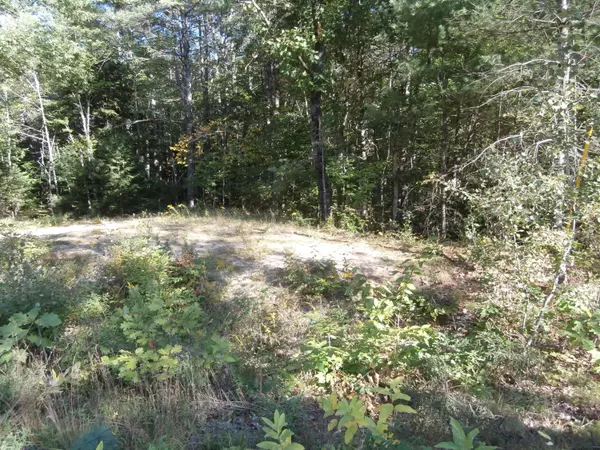 Limerick, ME 04048,Lot15-006B Quarry RD