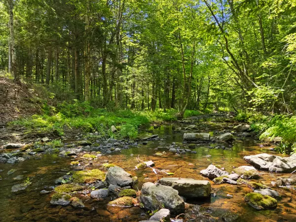 Washington, ME 04574,36 Brann RD