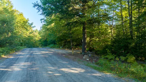 Avon, ME 04966,TBD Bob Oberton RD