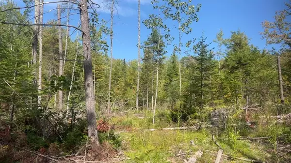 Newfield, ME 04095,TBD Wakefield RD