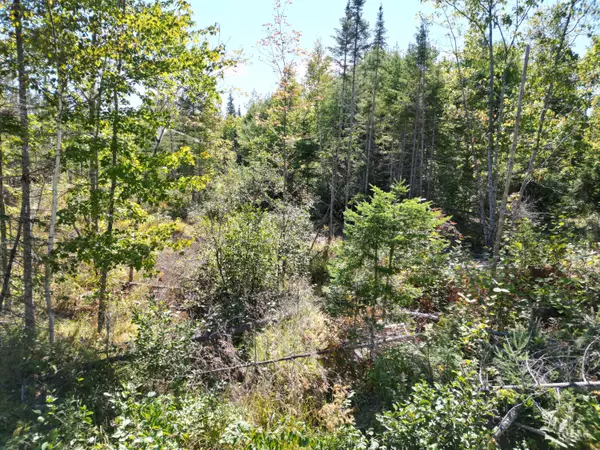 Lowell, ME 04493,Lot 7 Riverbend RD