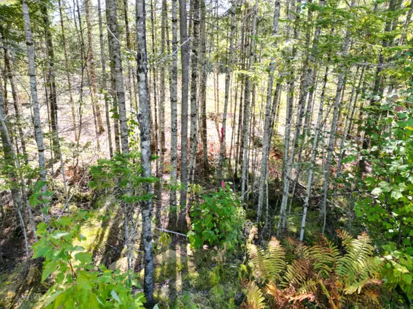 Lowell, ME 04493,Lot 7 Riverbend RD