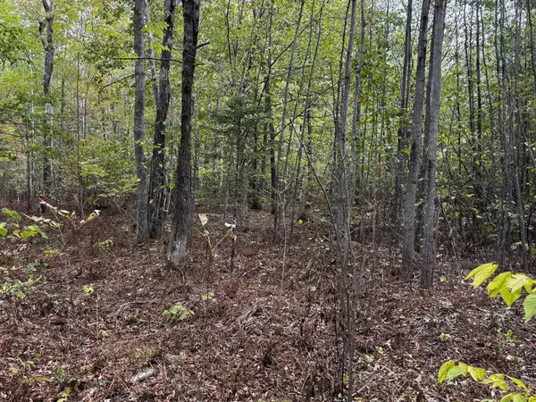 Anson, ME 04911,P/O M11 L45A Pease Hill RD