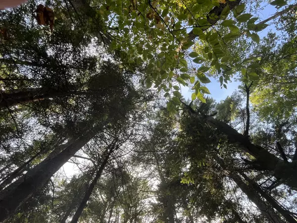 Freeport, ME 04032,75 Surry LN