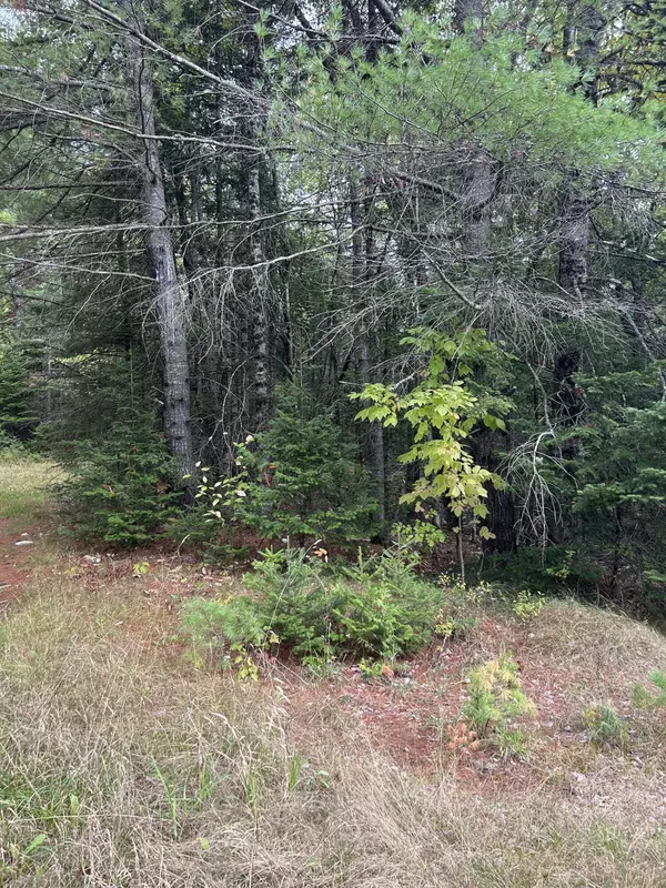 Charleston, ME 04422,77 Ridge Road/Main Road